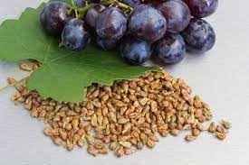 grape seed 