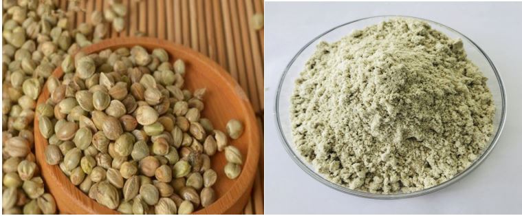 organic hemp protein