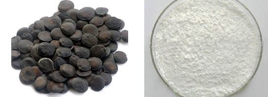 5-HTP & Griffonia Seed 