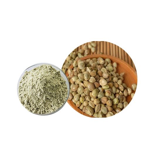 Bio Hanfprotein