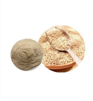 Bio-Protein aus braunem Reis