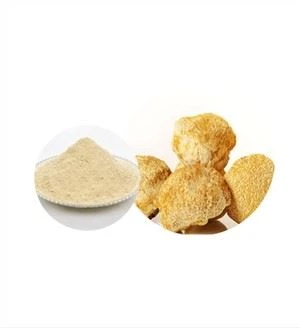 Bio-Hericium-Pilz-Extrakt-Pulver