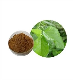 Bio Maulbeerblattextrakt