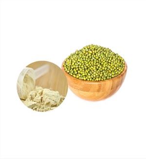 Bio-Mungprotein