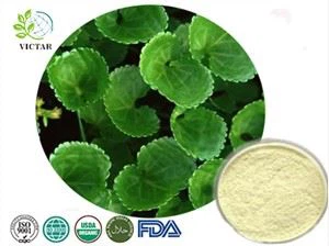 Centella Asiatica-Extraktpulver