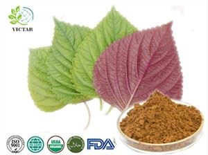Perilla-Blatt-Extrakt