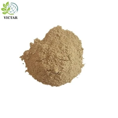 Astragalus-Pulver