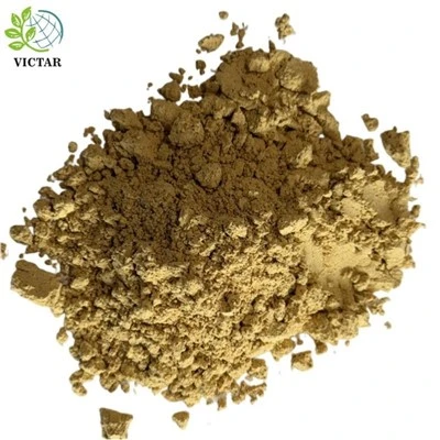 Cassia-Samen-Pulver