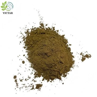 Oregano-Pulver