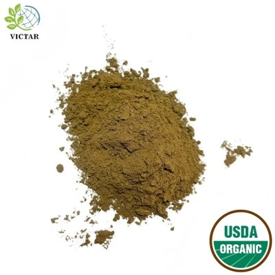 Bio-Oregano-Pulver